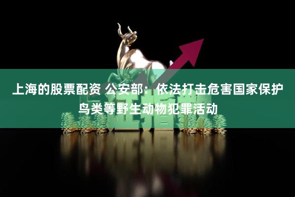 上海的股票配资 公安部：依法打击危害国家保护鸟类等野生动物犯罪活动
