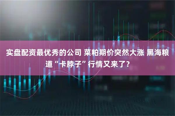 实盘配资最优秀的公司 菜粕期价突然大涨 黑海粮道“卡脖子”行情又来了？
